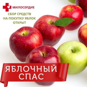 Служба «Милосердие» приглашает поучаствовать в акции к Яблочному Спасу
